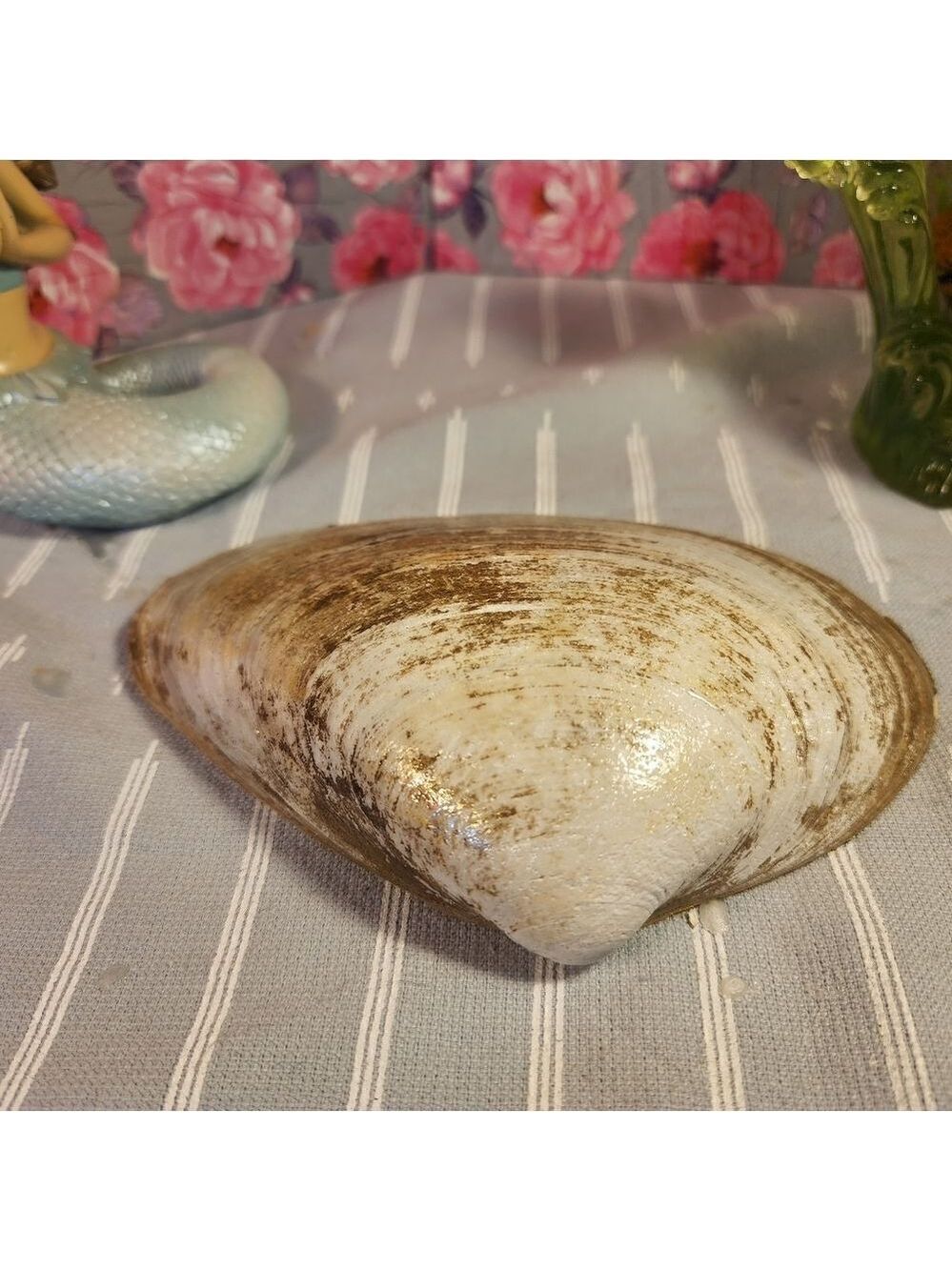 DECOUPAGE CLAM SHELL DECOUPAGE BLUE DESIGN TRINKET DISH - Picture 13 of 13